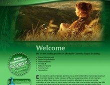 Beauty Surgeons Website